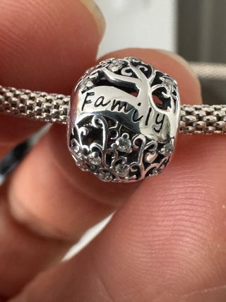 Charm familia plata S925