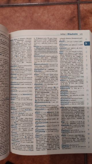 Il tedesco smart. Dizionario tedesco-italiano