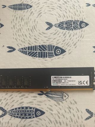 Memoria ram 8 gb