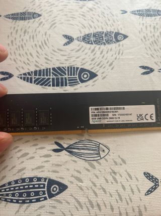 Memoria ram 8 gb