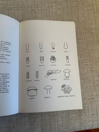 El gran libro de las setas
