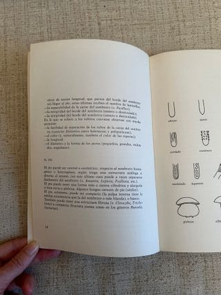 El gran libro de las setas