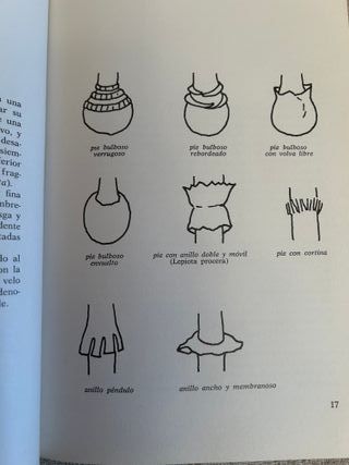 El gran libro de las setas