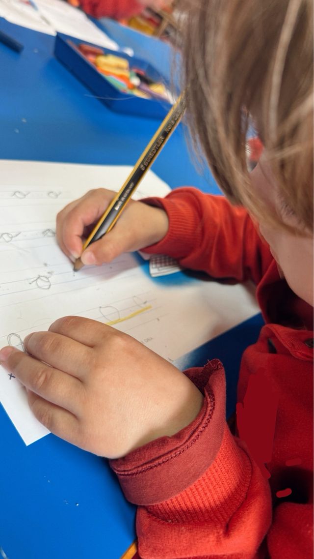 clases particulares primaria