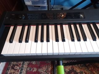 Korg D1 - Teclado 88 teclas