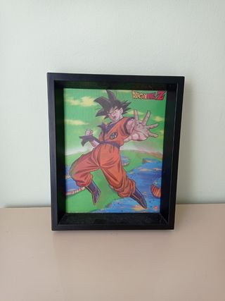 Cuadro Orquídeas -Dragon Ball Z
 Rosa 