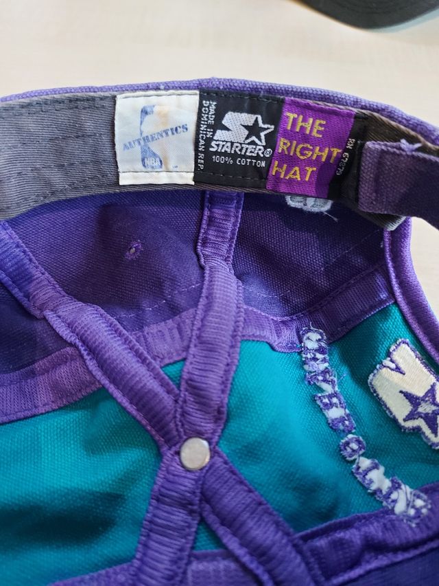 Gorra Hornets Starter Vintage NBA