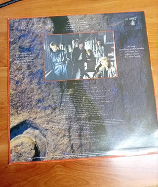 Vinilo Glass Tiger - Diamond Sun