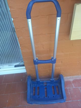Carro Safta mochila