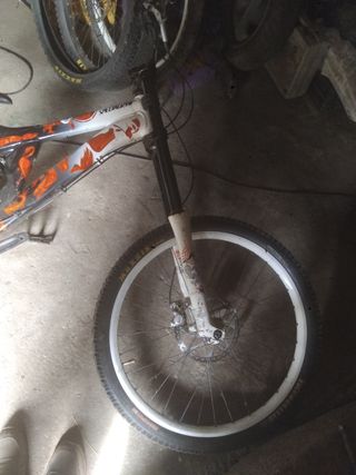 Bicicleta descenso Specialized DH