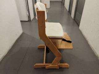 Trona evolutiva madera