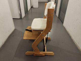 Trona evolutiva madera