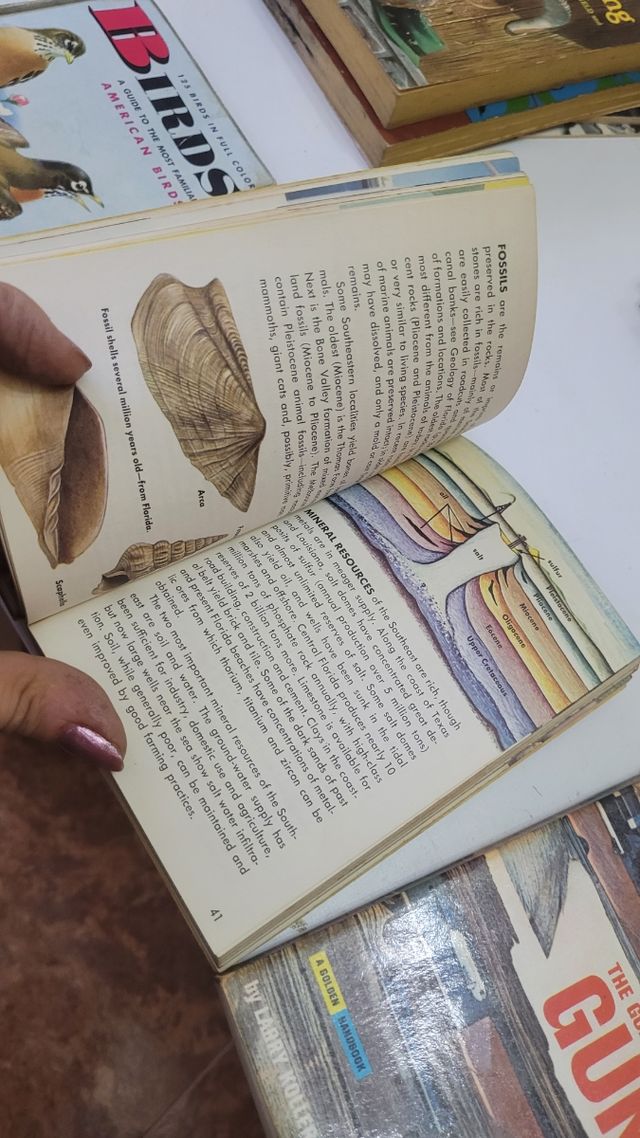 Colección de libritos de la editorial golden.