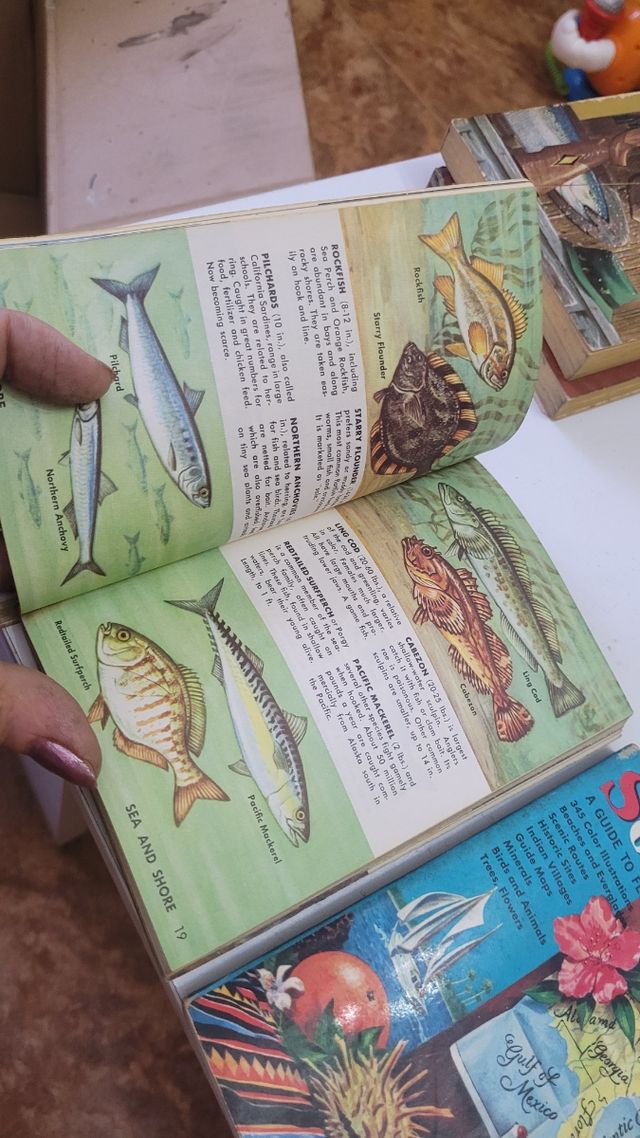 Colección de libritos de la editorial golden.