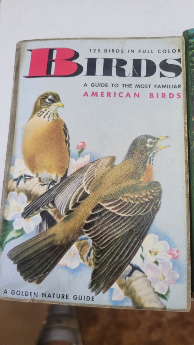 Colección de libritos de la editorial golden.