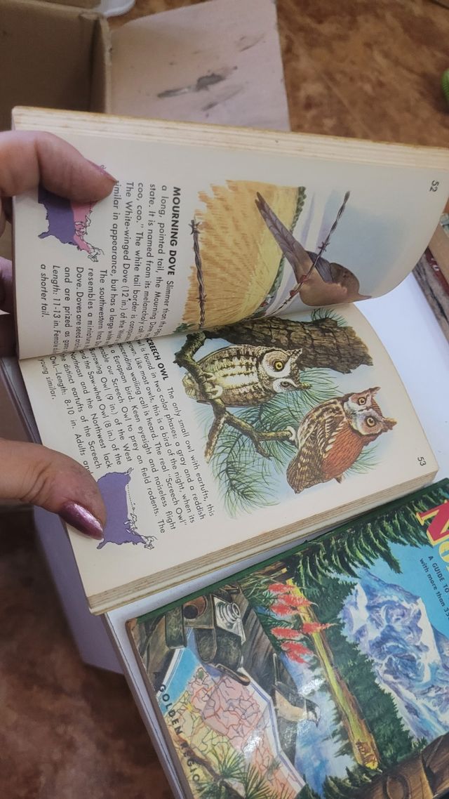 Colección de libritos de la editorial golden.