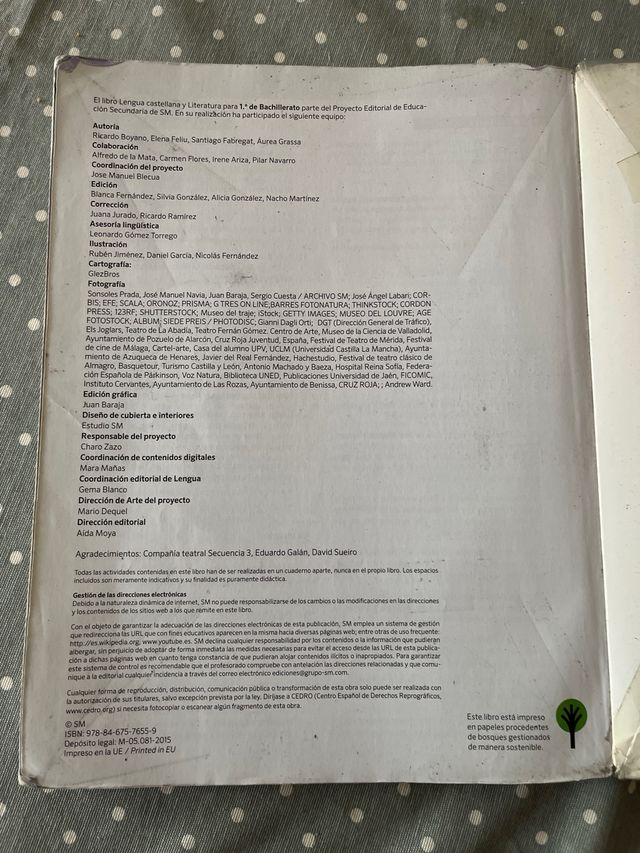 Lengua castellana y literatura. 1 Bachillerato....