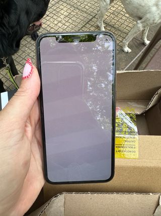 iPhone 11 Pro Rosa Gold