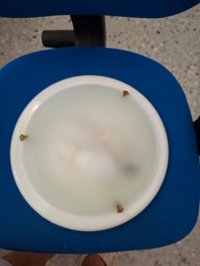 Plafón techo - Lámpara blanca