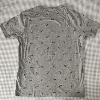 Pijama corto Sfera Men - M