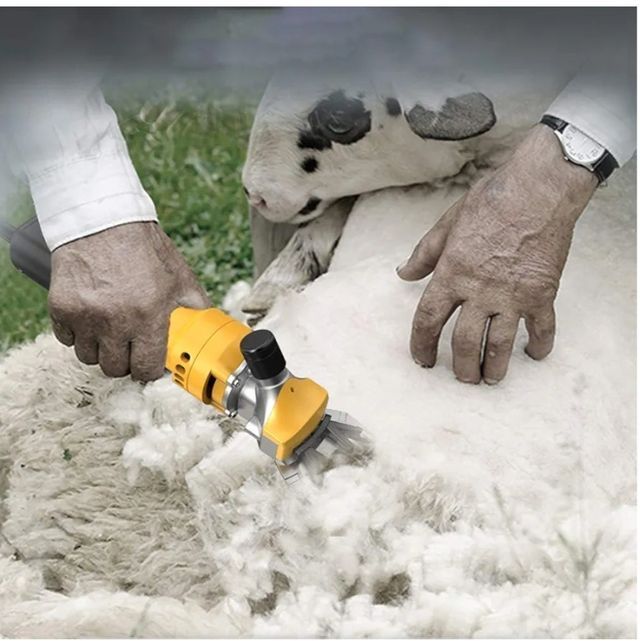 Cesoia elettrica professionale 1000w