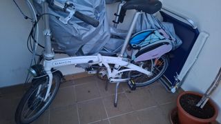 Dahon my8.