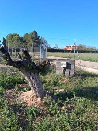 Parcela en villarrobledo 
