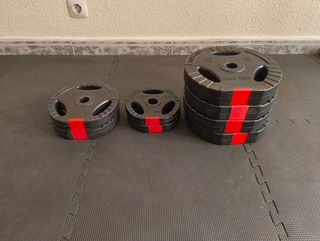 Juego de discos de pesas vinilo 27,5 Kg
