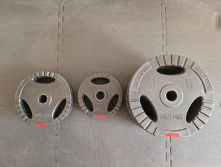 Juego de discos de pesas vinilo 27,5 Kg