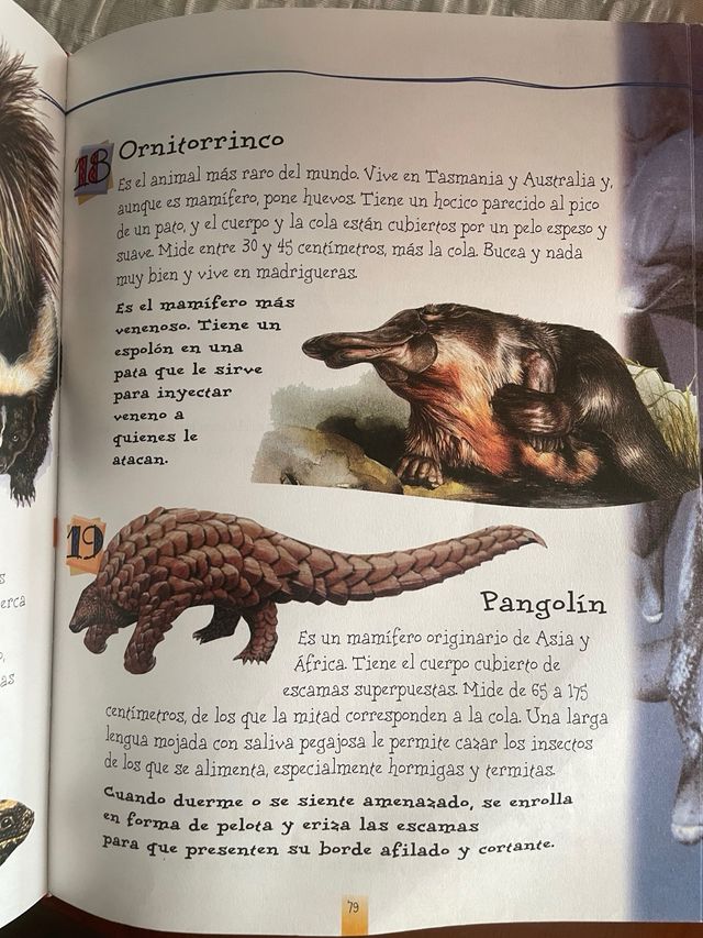 Lee cada día 365 historias de animales