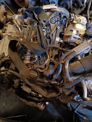Motor Audi Q5 Sportback 2.0TDI 16V 204CV 2020-2025
