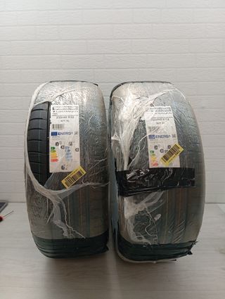 Neumáticos BRIDGESTONE 225/40R18 2 unidades 