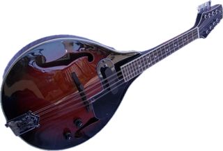 Mandolino elettrificato 