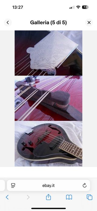 Mandolino elettrificato 