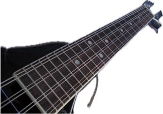 Mandolino elettrificato 