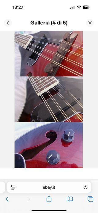 Mandolino elettrificato 