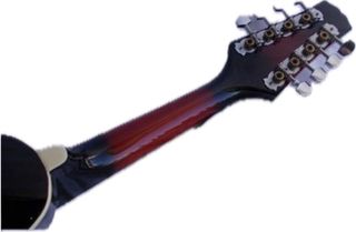 Mandolino elettrificato 