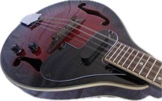 Mandolino elettrificato 