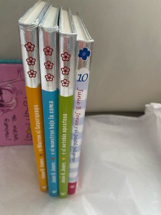 Junie B. Jones Y El Autobús Apestoso