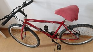 Bicicleta montaña Moroni II