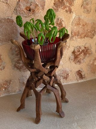 Soporte Madera de rosal para maceta