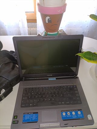 Portátil Sony Vaio - Gris Plata