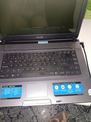 Portátil Sony Vaio - Gris Plata