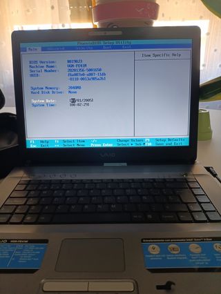 Portátil Sony Vaio - Gris Plata