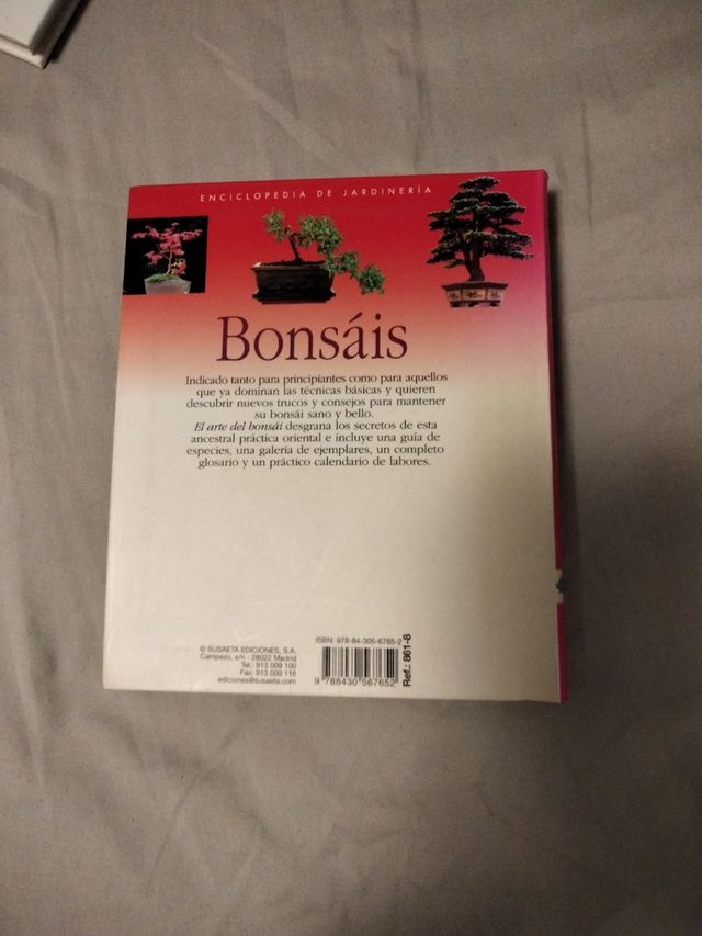 Bonsáis