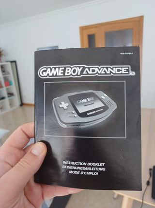 Manual Game Boy Advance Nintendo