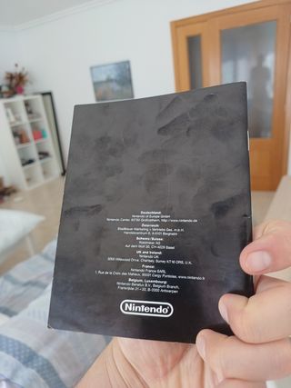 Manual Game Boy Advance Nintendo