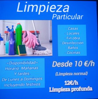 LIMPIEZA EN GENERAL