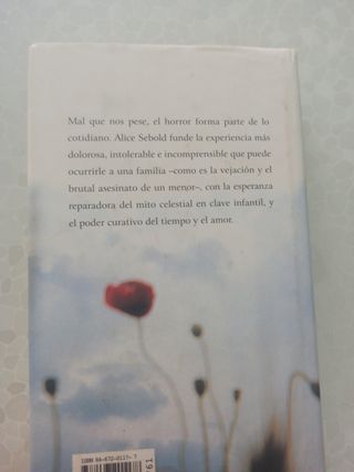 Desde Mi Cielo