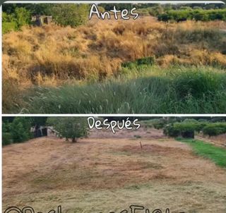 Limpieza y jardinería 
